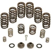 BD 4000 rpm Governor Spring Kit 1040185 P7100