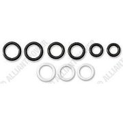 AP0028 Seal Kit, Stand Pi;e and Port Plug 6.0 Ford Powerstroke